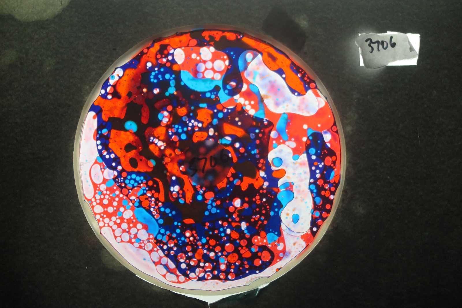 BV3706 bubble vision oil wheel